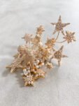 CHN-202100034-Poodle-Star-Hairpin-Gold