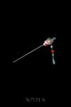 CHN-202200138-Pagoda-Symphony-Jade-Single-Hairpin-Gold-Jade