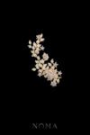 Paved Twigs Royal Art Side Hairvine/Brooch - Gold (Left)