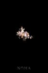 Flying Crane Floral Theme Side Haircomb - Gold, Pink (Left)