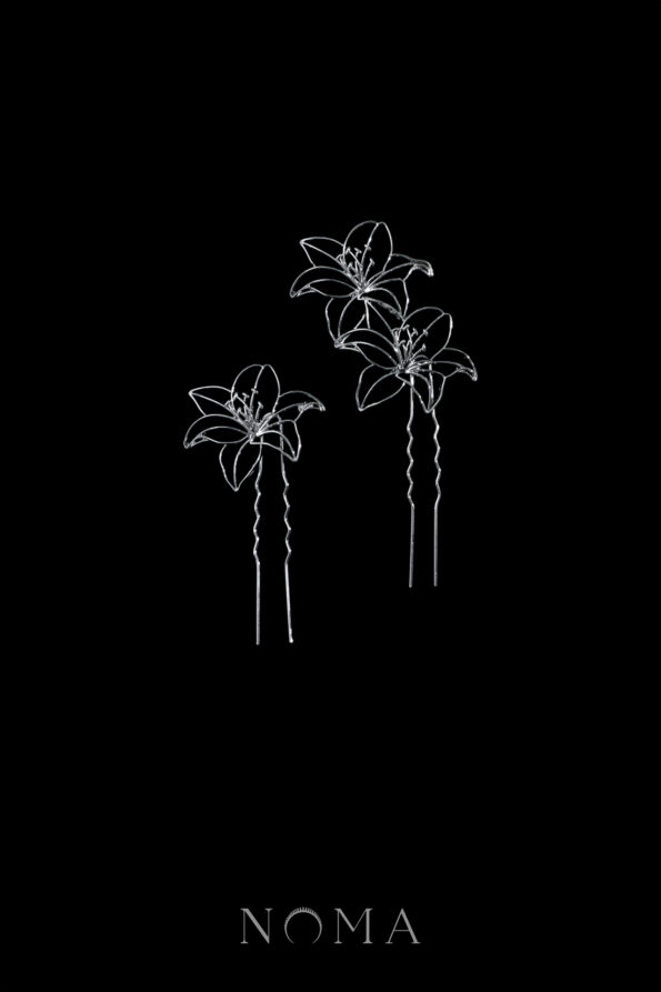 DJW-202300090-Silhouette-Floral-Hairpin-Set-Rhodium-White-Gold-2-pcs