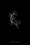 Ginkgo Branches Side Hairvine/Brooch - 18k Yellow Gold (Left)