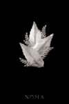 DJW-202400001-Leafy-Extravagance-Side-HairvineBrooch-Rhodium-White-Gold