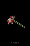 Pagoda Symphony Jade Hairpin - Gold, Jade