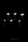 LR Jasmine Bouquet Small Hairpin Set - White Silver, White (6 pcs)