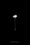 MEN-202400017-Ginkgo-Petal-Lapel-Pin-Rhodium-White-Gold