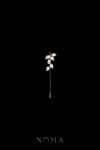Paved Twigs Lapel Pin - Rhodium White Gold