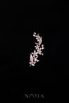 Paved Flower Garden Side Hairvine - Rose Gold (Right)