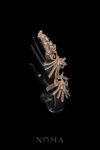 CHN-202400030-River-Flows-Phoenix-Handcuff-Gold