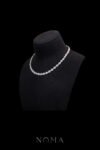 DJW-202400034-Round-Paved-Double-Dot-Choker-Rhodium-White-Gold-White-Diamond